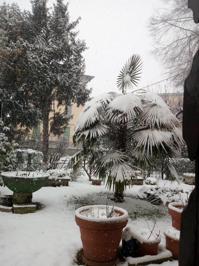 B&B Delle Arti Crema Exterior photo