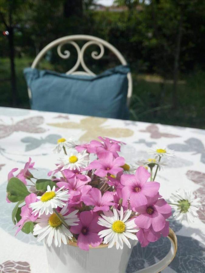 B&B Delle Arti Crema Exterior photo